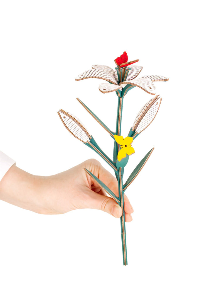 0629ecdc3322920f89504c8b610c92e1