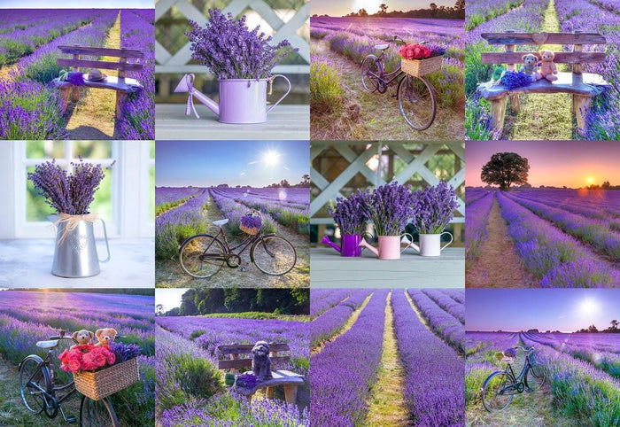 Puzzle Din Lemn LAVENDER FRANCE S, Wooden City, 75 piese - Time 4 Machine